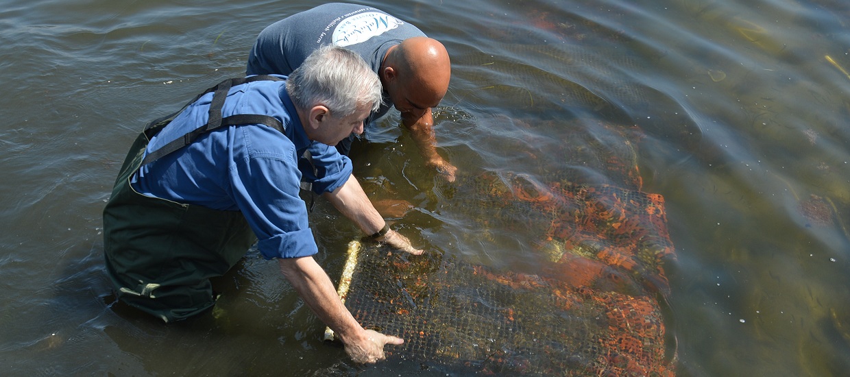 Reed, Whitehouse, Langevin Announce Ocean Observation Funding for URI